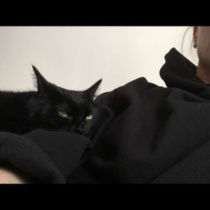 Meet your Posher, Gen